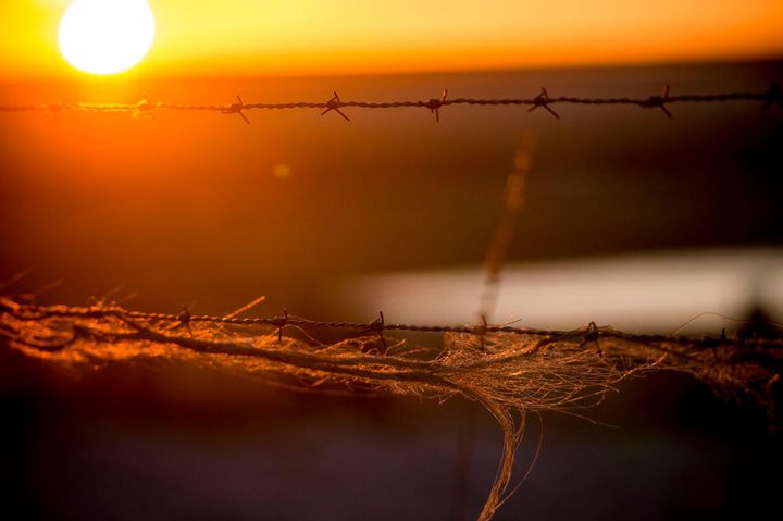 Billede af en solnedgang bag en pigtrådshegn, der symboliserer tørt landbrugsland.