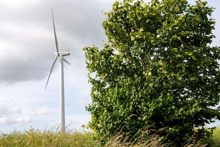 Billede af en vindmølle i landskabet ved siden af et træ.