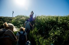 En gruppe mennesker går op ad en solbeskinnet bakke omgivet af grønt græs og vilde blomster.