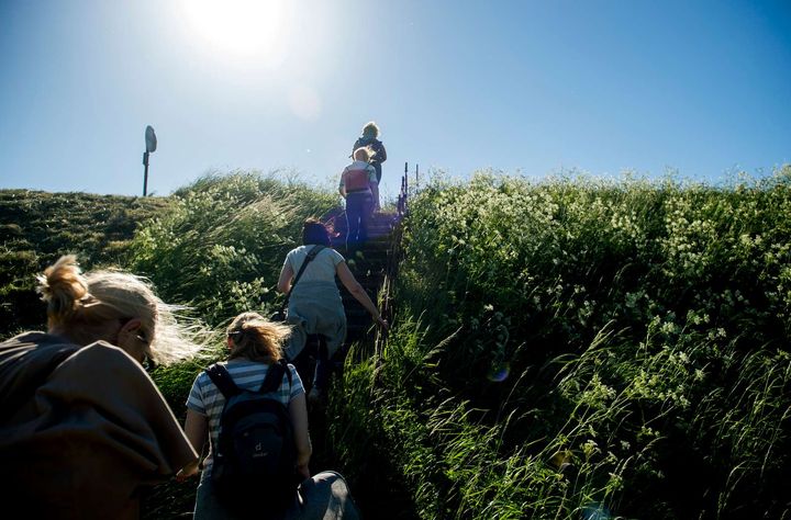 En gruppe mennesker går op ad en solbeskinnet bakke omgivet af grønt græs og vilde blomster.