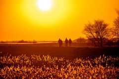 En gruppe mennesker går i naturen ved solnedgang.