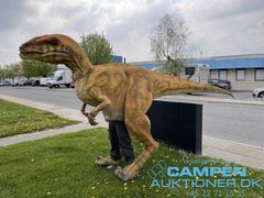 Dinosaur Tyrannosaurus Mascot Kostume størrelse ca. 2 x 4 m i transportkasse fra Givskud Zoo. Oprindelses land er Kina. ”Lille T” som er navnet på denne meget vellidte og søde Dinosaur er 6 år gammel og som nu har fået en bror som tager over i Givskud. Han er blevet lidt træt efter de mange skridt igennem parken – på en gåtur blev tilbagelagt 1,3 km. ”Lille T” har kamera indbygget, samt håndtag indvendigt så han kan blinke og åbne munden.  Han spiser overvejende kød, men fodres også godt med bamser af de små børn – og det elsker han.  Han har fået lidt ridser i lakken efter hans mange ture i parken, men fungerer stadig fint.