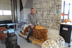 Bent Hansen tæmmer den store brølende træløve fra Bali