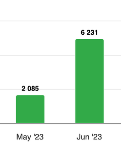 Rikke og hendes datter er ret tilfredse med deres salg på standen i Kirppu Horsens.