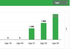 Rikke og hendes datters salg i app'en Mit Kirppu - Katjiing