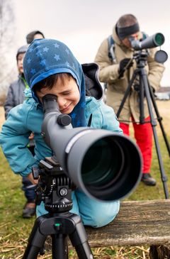 Det er gratis at deltage i DOF's arragementer på Ørnens Dag. Dagen byder på aktiviter for både store og små, og de lokale ornitologer stiller teleskoper op til fri afbenyttelse. Foto: Mikkel Østergaard.