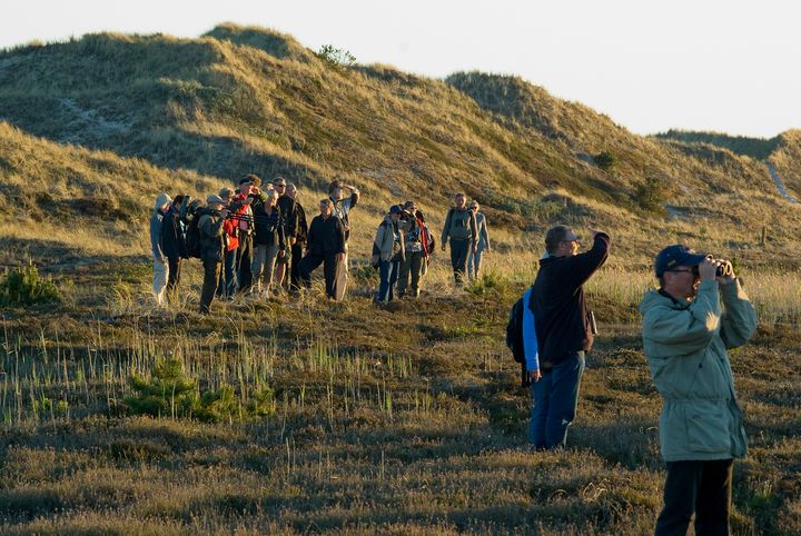 Ornitologer strømmer til Skagen i denne weekend, hvor den årlige fuglefestival afholdes. Her er både sjældne fugle og foredrag på menuen.