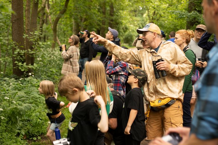 I DOF BirdLifes gratis fuglespil kan børn lære 100 danske fuglearter at kende og blive inspireret til at opleve dem i virkeligheden. På den måde kan man gøre efterårsferien til et fugleeventyr.