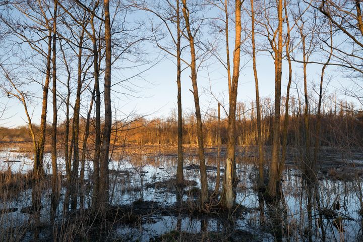 Naturreservatet Vaserne. Foto: Leif Bolding