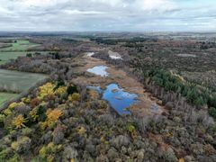 Fugleværnsfondens nye naturreservat Stoubæk Krat.