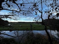 Storåen slynger sig gennem landskabet og er en del af Fugleværnsfonden nye reservat.
