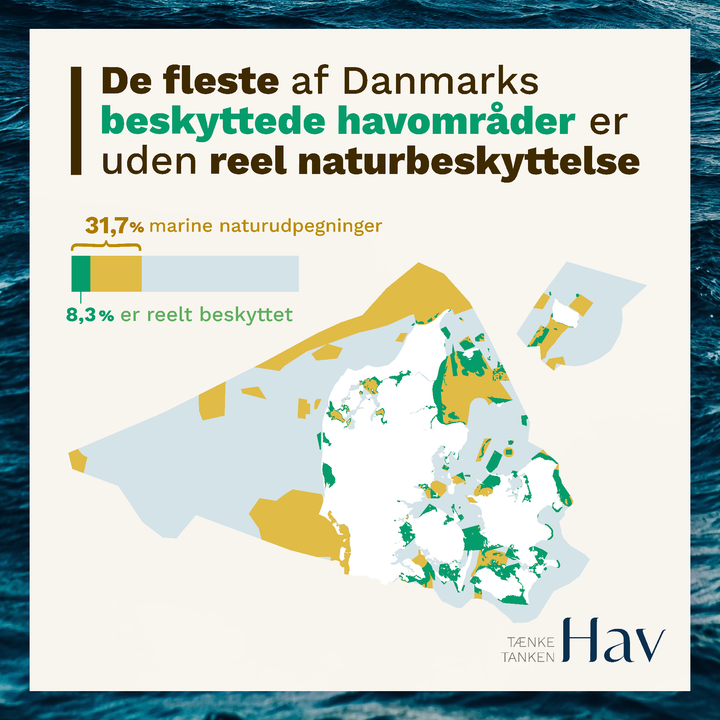 De fleste af Danmarks beskyttede havområder er uden reel naturbeskyttelse