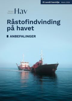 Anbefalinger - råstofindvinding på havet