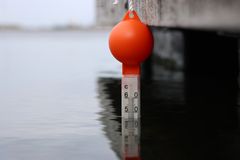 Antallet af marine hedebølgedage i de danske farvande er steget med 170 % siden 1980’erne, viser ny analyse fra Tænketanken Hav.