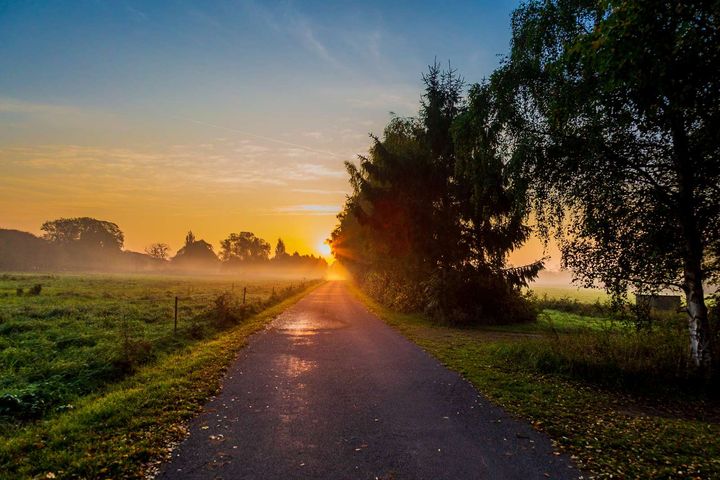 En smuk efterårsscene i Vallensbæk ved solnedgang med træer langs en sti.