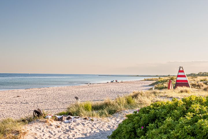 Strand med græs og klitter ved kysten under en klar himmel.