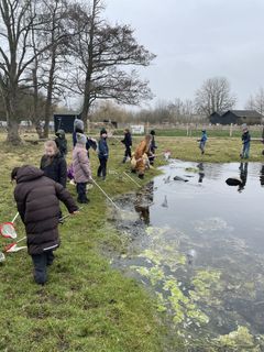 Vandets Dag i Randers 2026
