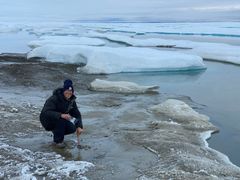Professor Anders Priemé indsamler prøver nord for Grønland