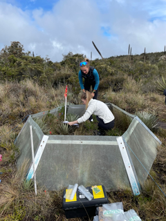 Postdoc Amy Smart and master’s student Anneka Williams collecting volatiles from Paramo plants in Matarredonda, Colombia.