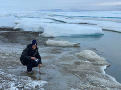 Professor Anders Priemé sampling on islets north of Greenland