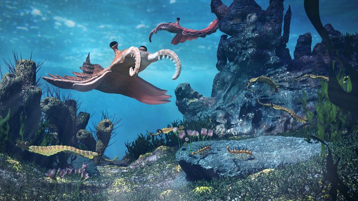Illustration af havdyr under den kambriske eksplosion for over 500 mio. år siden. Foto: Getty Images