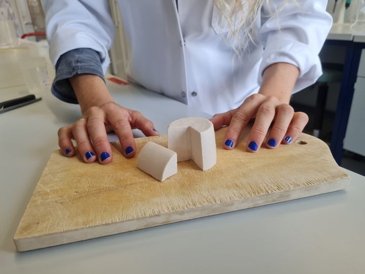 After only eight hours of incubation, the result was a firm "cheese-like gel" reminiscent of a fresh soft white cheese. Photo: Department of Food Science