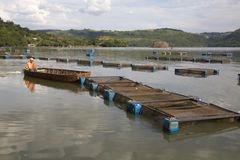 One of the breeding facilities in the state of Sao Paolo, Brazil