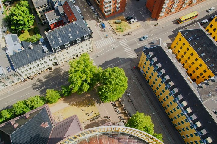 A billion tons of hidden biomass in urban and rural areas can now be included in various statistics and models. Photo: Getty