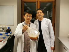 Yong Zhao and Sotirios Kampranis with celastrol produced in yeast cells