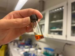 Isolated celastrol produced by the Kampranis lab. Celastrol is a complex plant specialized metabolite with a reddish color