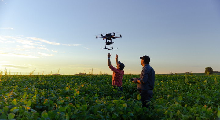 Fremtidens planteavl skal blandt andet udnytte moderne teknologier som droner og AI-overvågning.