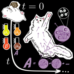 "The unexpected presence of a white cat adorns the illustrations of Buca's research. Pulci the cat is his eye-catching muse. Arrows through the cat's body illustrate the quantum mechanical origin of the playful cat's movements – and this is precisely the relationship that Buca is trying to understand by making it possible to calculate the dynamics of the very smallest particles."