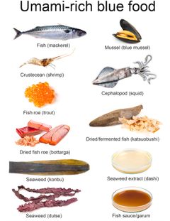 Illustration of some of the marine food items described in the scientific paper as umami-rich blue food (photos: Jonas Drotner Mouritsen)