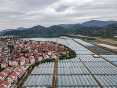 Greenhouse cultivation in China (Getty Images)