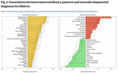 Under graviditeten blev to kostmønstre – et varieret og et vestligt – identificeret. Til højre ses, hvilke fødevaregrupper der er positivt eller negativt forbundet med en vestlig kost, som ser ud til at hænge sammen med risikoen for udviklingen af bl.a. ADHD.