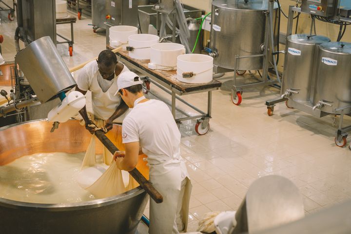 I et nyt forskningsprojekt skal forskere dykke ned i udfordringerne og mulighederne inden for bæredygtige fødevaresystemer. På billedet ses produktion af ost på en ostefabrik. Foto: Unsplash.com