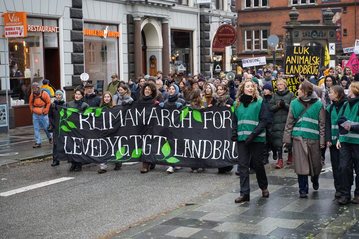 Demonstranter går på gaden i protest mod Den Grønne Trepart