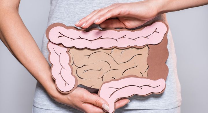 Nyt netværk skal trække mere viden ud af tarmen. Foto: Getty