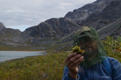 The researcher and Mycena in the field. Photo: Christoffer Bugge Harder