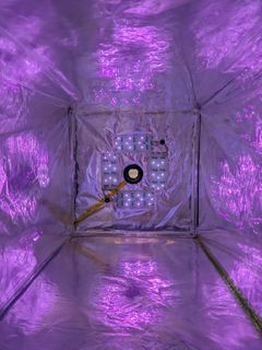 A look inside the MEPS reactor (Methane Eradication Photochemical System), where chlorine atoms are formed by UV light and react with methane gas. Photo: Morten Krogsbøll.