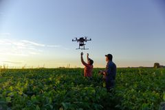 two men launch a drone whiæe standing in a field of crops