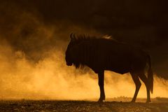 Foto: Mogens Trolle