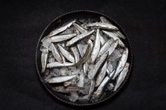 Brisling er en af de arter, som er rige på umami, og som kunne udnyttes bæredygtigt (foto: Getty Images)