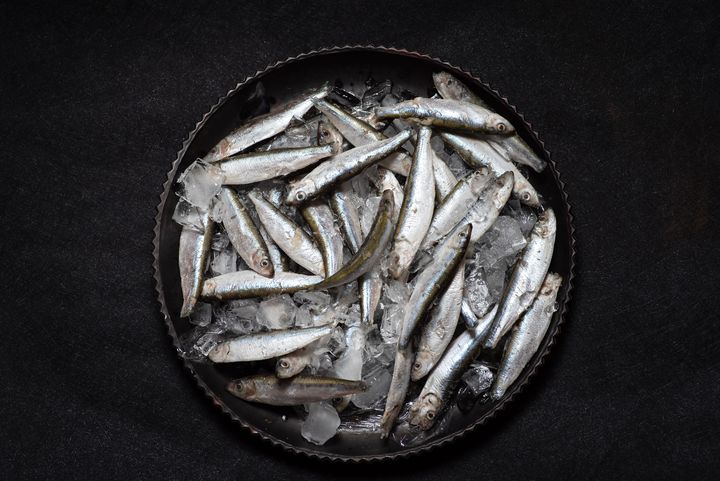 Brisling er en af de arter, som er rige på umami, og som kunne udnyttes bæredygtigt (foto: Getty Images)