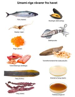 Illustration af forskellige 'blå' råvarer og produkter, der alle er rige på umami (fotos: Jonas Drotner Mouritsen)