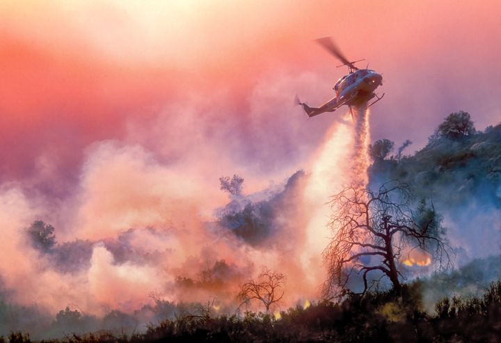 Record-breaking 2020 wildfires wiped out nearly 17,000 square kilometers of forest in California.