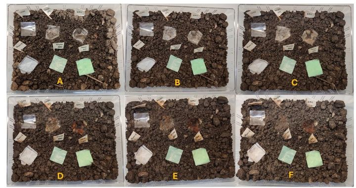 Experiments on the degradation of different plastic materials. Top left is a common LDPE plastic film. Top center and right are the researchers' amylose-based bioplastic and a plastic made from corn starch, respectively. At the bottom are three different bags made from conventional bioplastics. A) shows the start of the experiment. B) shows the degradation after 8 days, C) the degradation after 11 days, D) 21 days E 41 days and F) shows the degradation after 54 days. Photo: Andreas Blennow
