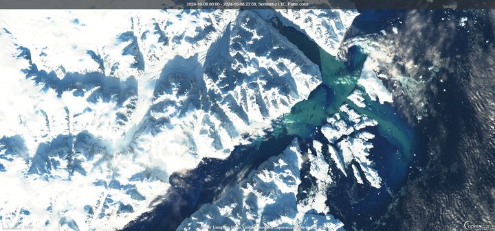 Billede af gletsjerfloden, der løber ud i Scoresbysund-fjorden taget af Sentinel satelitten.