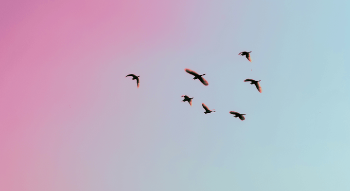 Unsplash.com
