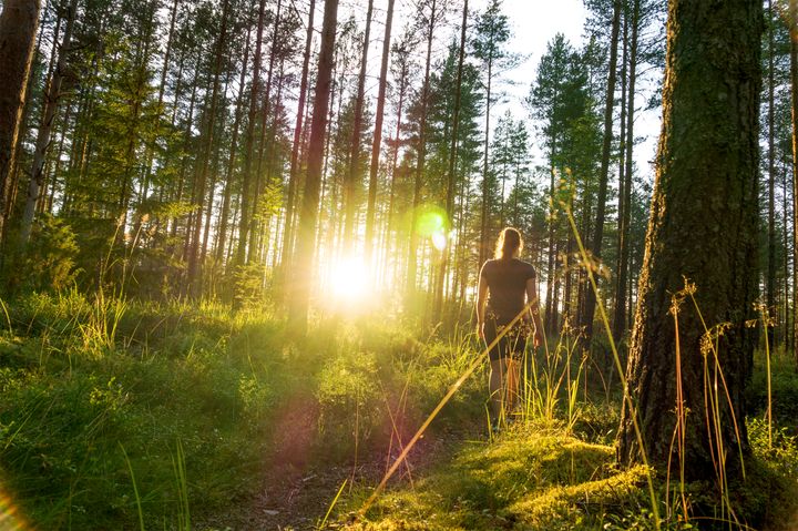 Forskerne anbefaler, at kommuner og sundhedsaktører i højere grad tænker grønne områder ind i folkesundhedsstrategier og tilbud om motion til fx overvægtige og personer med psykiske lidelser. Foto: Getty